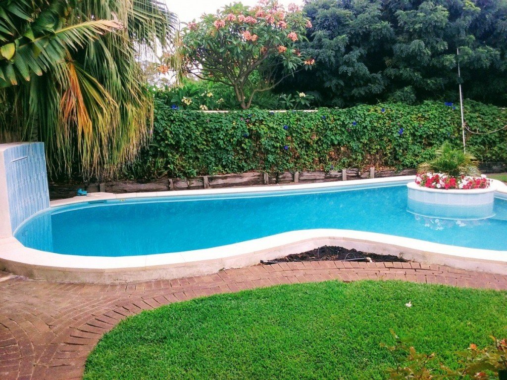 New Plaster and More Attadale (5)