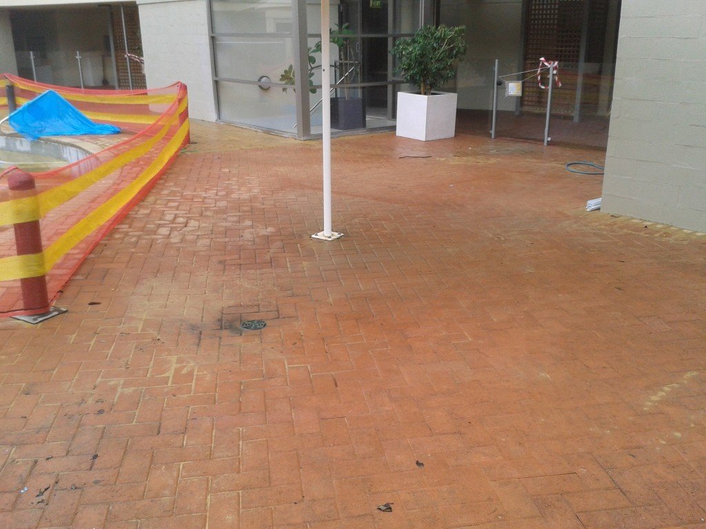 Seashells Pool Landscaping