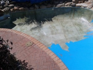 Stages of Pool Renovation (5)